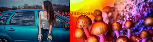 гидра Алексин