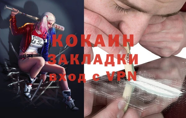гидра Алексин