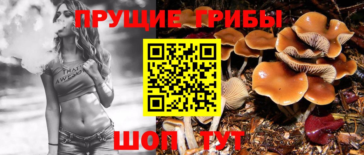 ТГК  ЭКСТАЗИ  Узловая  МЕФ кристаллы  Конопля  Вход с VPN  ГАШИШ  НБОМе  Кокаин  Альфа ПВП СОЛЬ кристаллы 