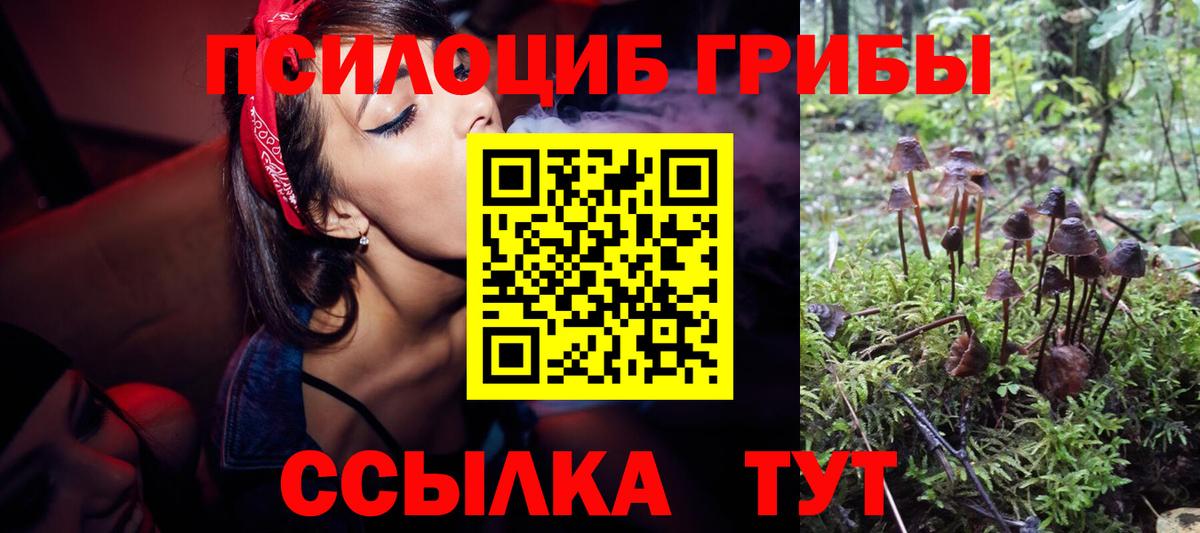 Псилоцибиновые грибы MAGIC MUSHROOMS  Галлюциногенные грибы Psilocybe  Вход с VPN  Узловая 